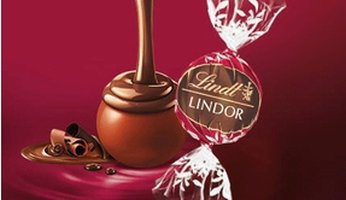 Lindt LINDOR Double Chocolate Truffle